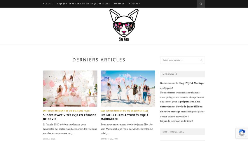 page d'accueil spy cats